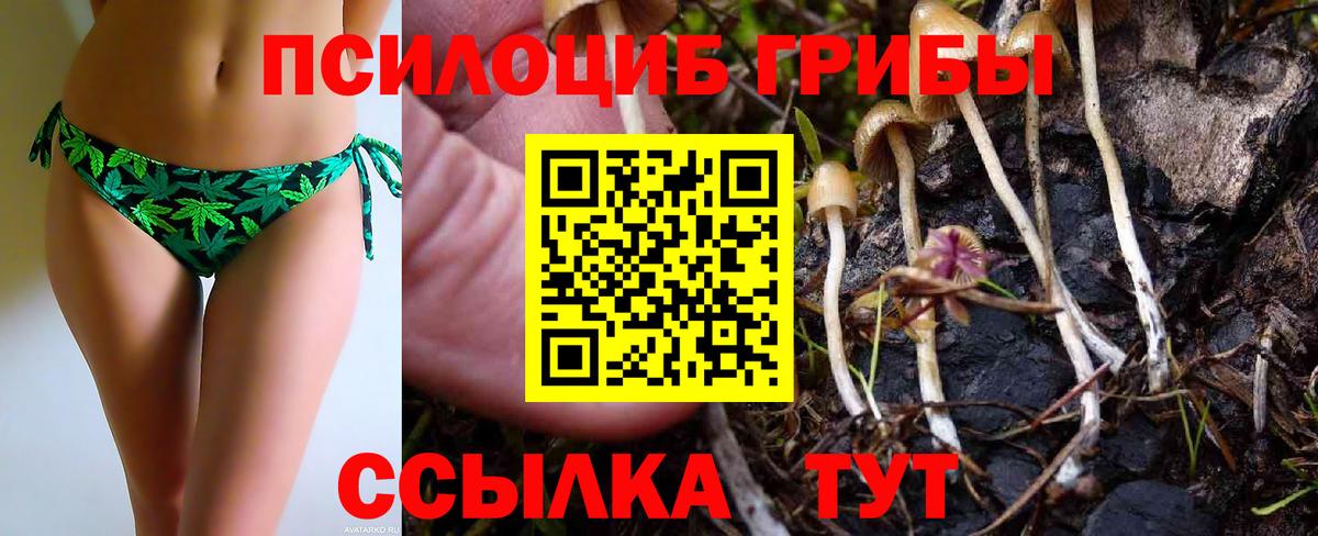 Галлюциногенные грибы GOLDEN TEACHER  Вход с VPN  Симферополь 